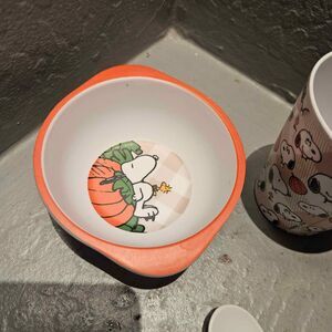 Peanuts Child Toddler Dish Set